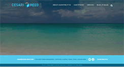 Desktop Screenshot of cesari-reed.com